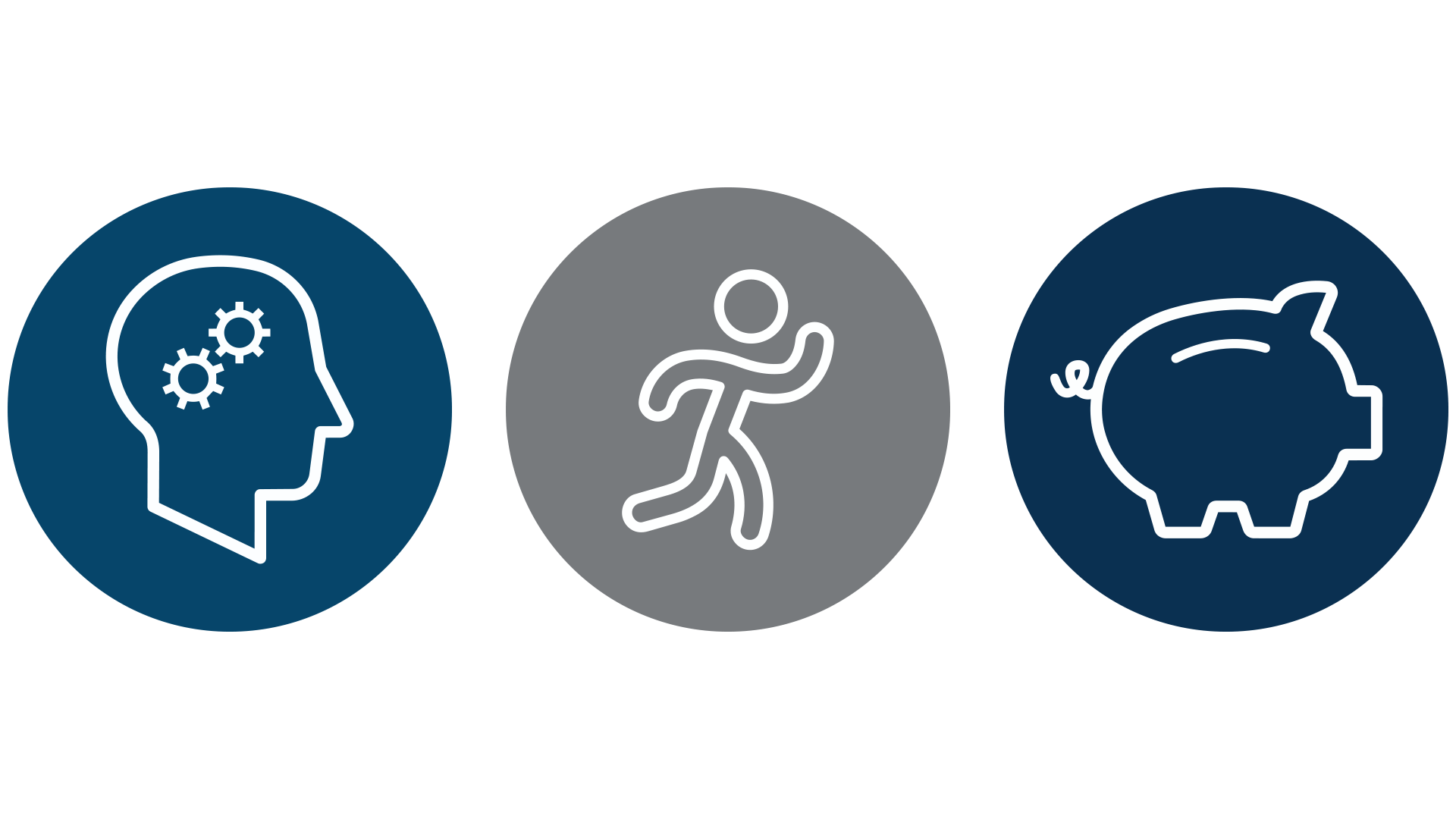 image of three icons in a row - mind, body, money